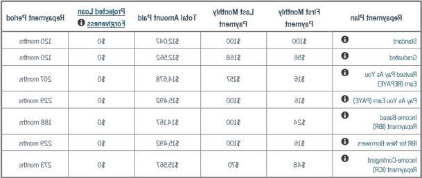 Repayment plan table